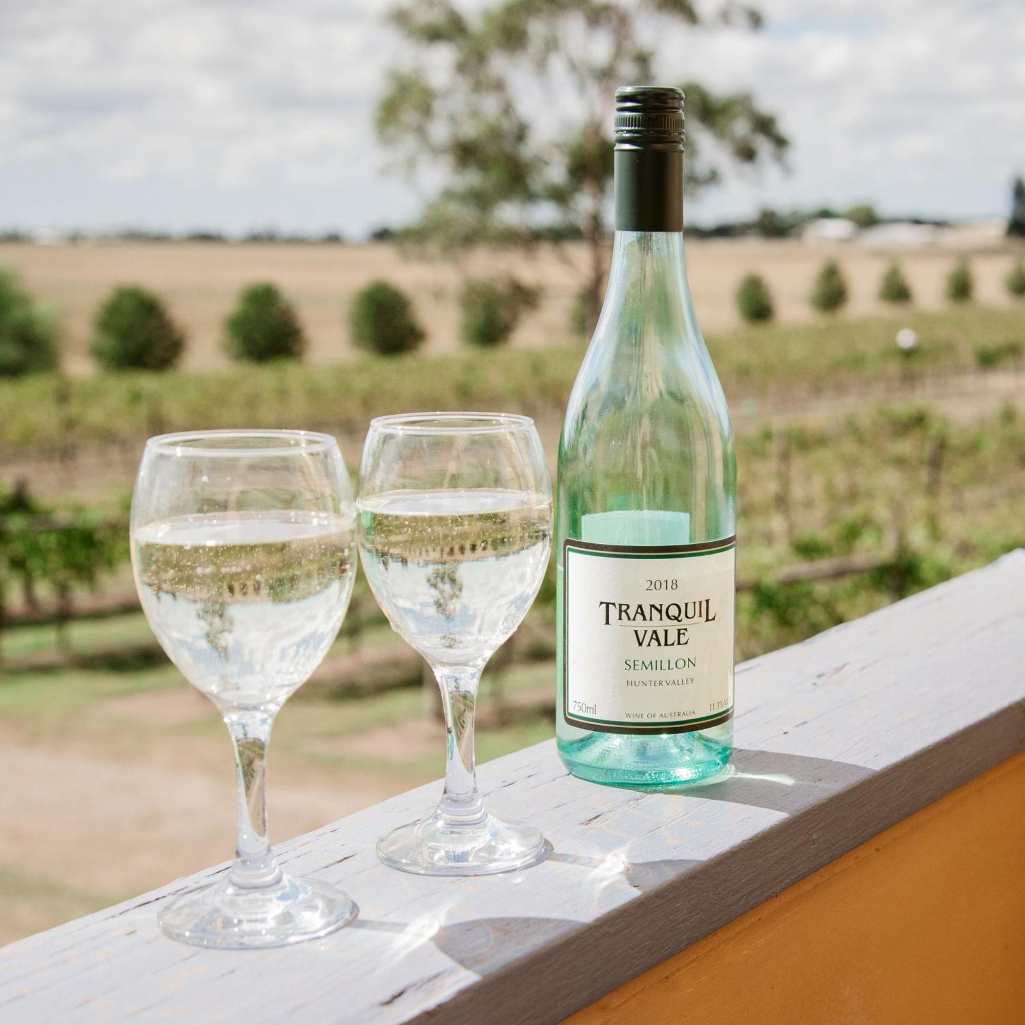 Tranquil Vale Vineyard Hotel Luskintyre Exterior photo
